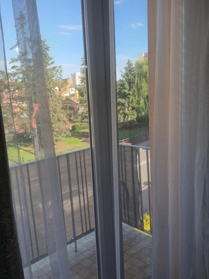 דירות מאלבורק Apartament Nad Fontanna מראה חיצוני תמונה