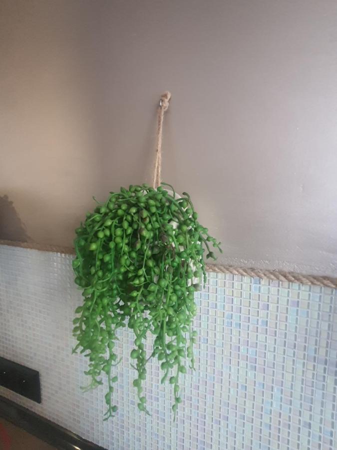 דירות מאלבורק Apartament Nad Fontanna מראה חיצוני תמונה