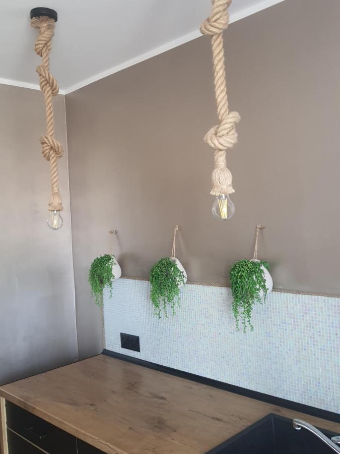 דירות מאלבורק Apartament Nad Fontanna מראה חיצוני תמונה
